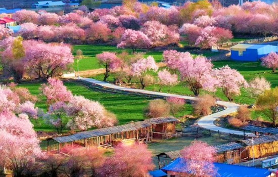 D1仲夏伊犁.1+1头等舱7日游