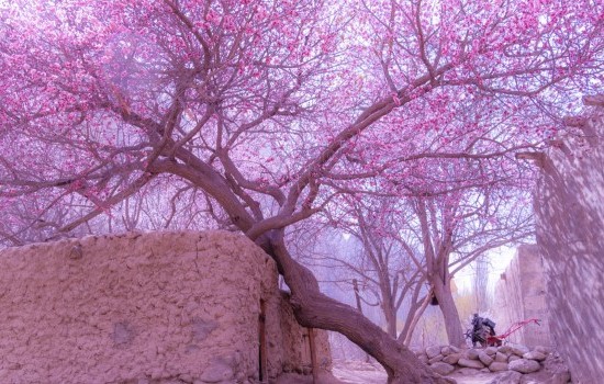 D3【杏会帕米尔】头等舱7日（喀什起止）